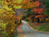 Thumbs/DSC09776.jpg