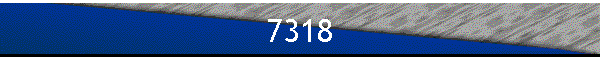 7318