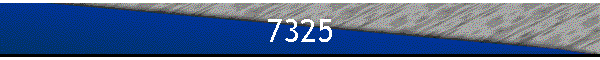 7325