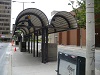 Bus shelters at south end of MacNab Terminal, Aug 8, 2009