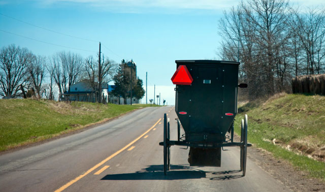 Enclosed Amish buggy