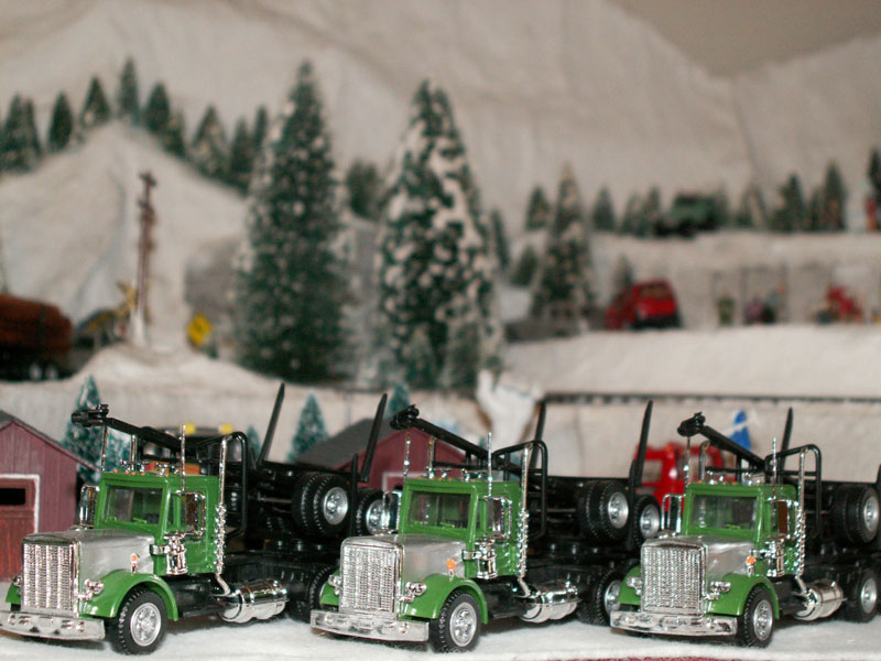 fleet of Log Trucks