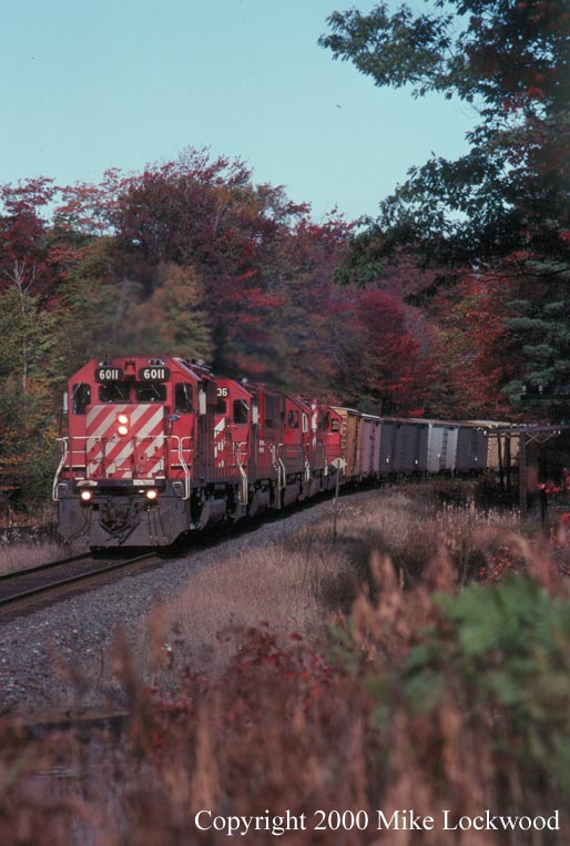 CP 6011, CP??36, SOO 605?, CP????, and CP???? on #702 at Dock Siding Oct.3, 1998 @ 1000