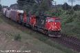 CN 5619, 5186, And SD40-2W