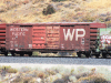 WP #38047