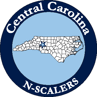 CCNS Logo