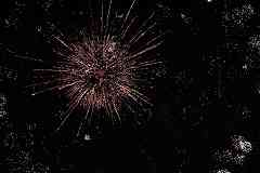 Fireworks Short