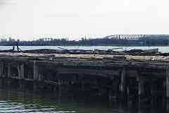 WM Docks
