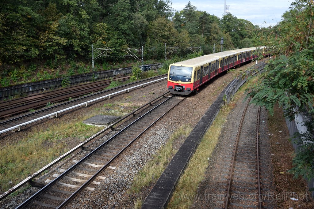 9393-0013-250924.jpg - DBAG 481.139-4 / Berlin Messe Süd (Eichkamp) 25.9.2024