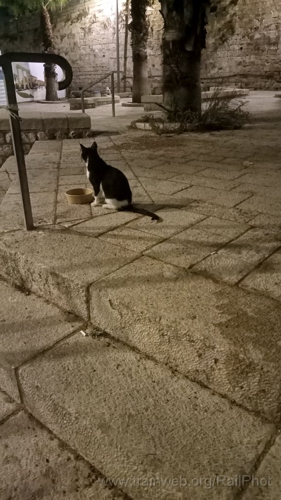 IMG20260913195408.jpg - Jaffa 13.9.2026