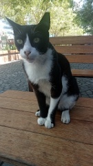 IMG20260614134022