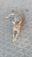 IMG20260913181402