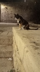 IMG20260913195046