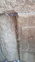 IMG20260703105902