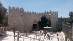 IMG20260703114350