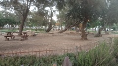IMG20260710194703