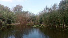 IMG20260725105951