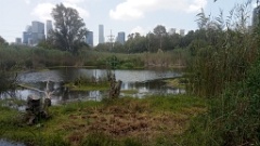 IMG20260725112243