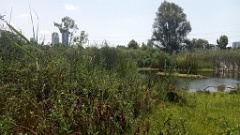 IMG20260725113901