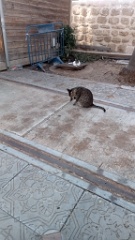 IMG20260801174636