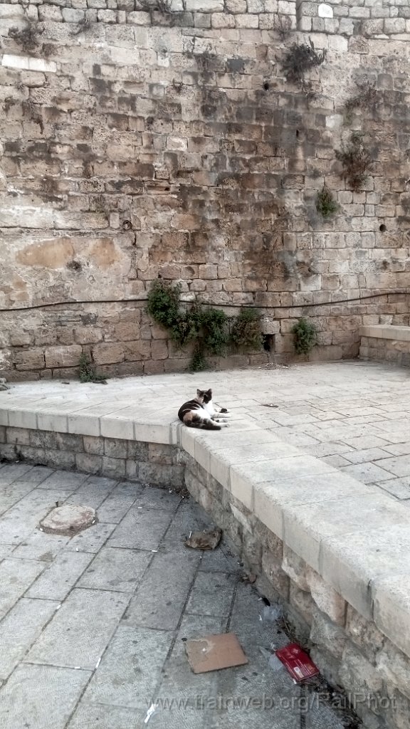 IMG20260913174714.jpg - Jaffa 13.09.2026