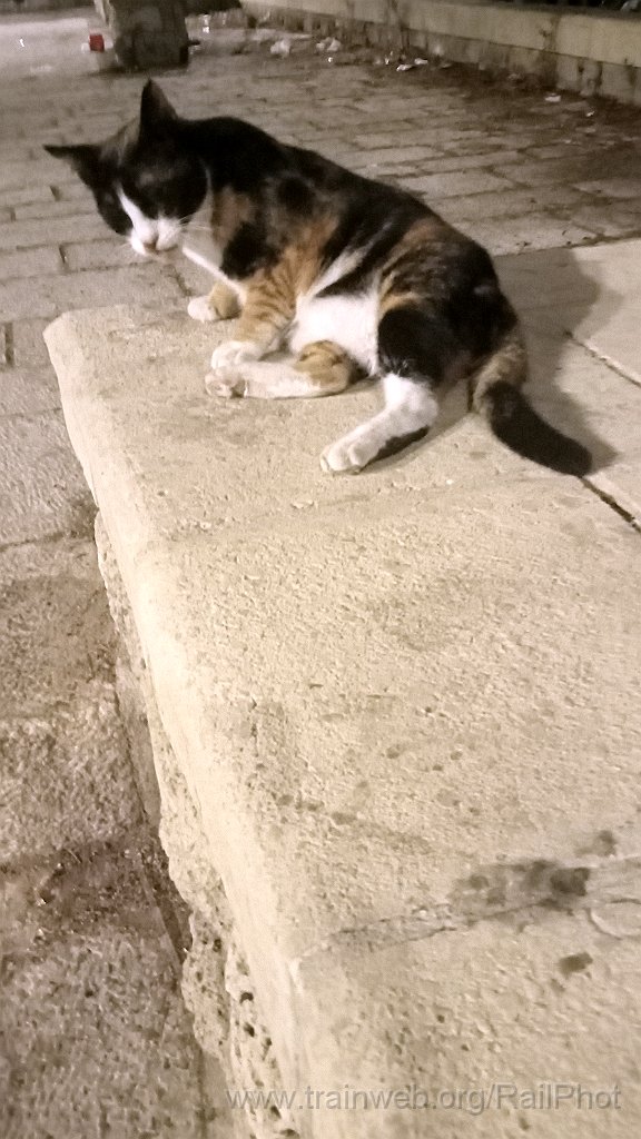 IMG20260913195635.jpg - Jaffa 13.09.2026