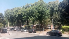 IMG20260905111824