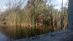 IMG20260905113802