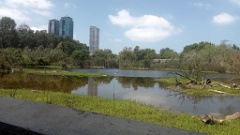 IMG20260905120831