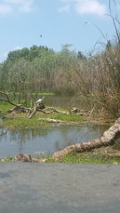 IMG20260905121818