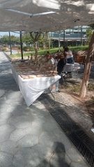 IMG20260910093717
