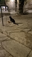 IMG20260913195408
