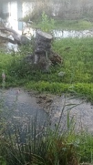 IMG20260921180254
