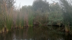 IMG20260921183328