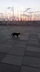 IMG20260926183730