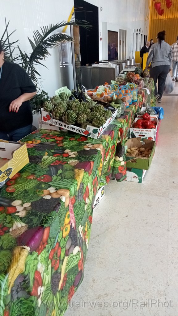 IMG20260226125143.jpg - Holon 26.2.2026