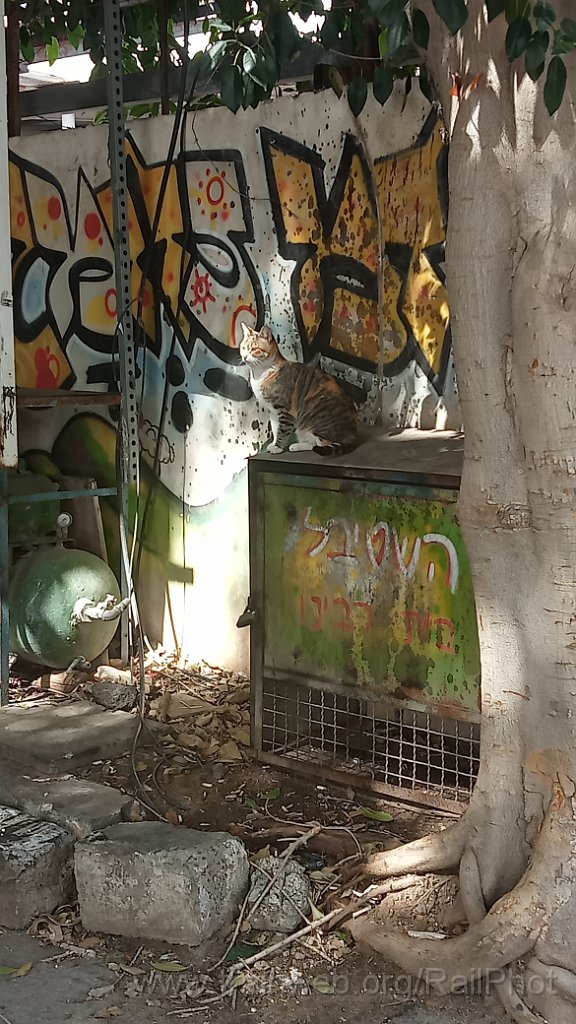 IMG20260228120412.jpg - Tel-Aviv 28.2.2026