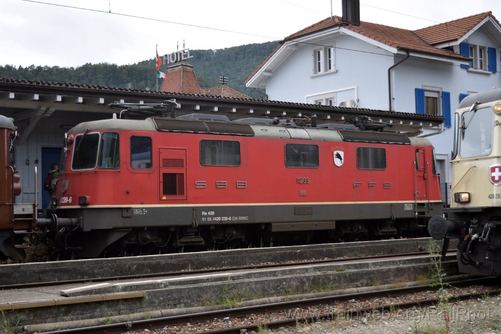 9356-0041-140924.jpg - SBB-CFF Re 4/4" 11239 "Porrentruy" / Balsthal (Dépot) 14.9.2024