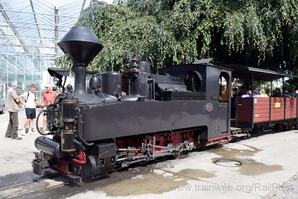 10004-0029-070925.jpg - SchBB G 4/4 7349 "Taxus" / Schinznach 7.9.2025