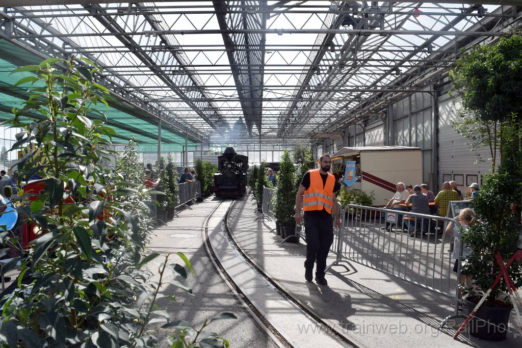 10005-0038-070925.jpg - SchBB G 4/4 7349 "Taxus" / Schinznach (Grossbahnfest) 7.9.2025