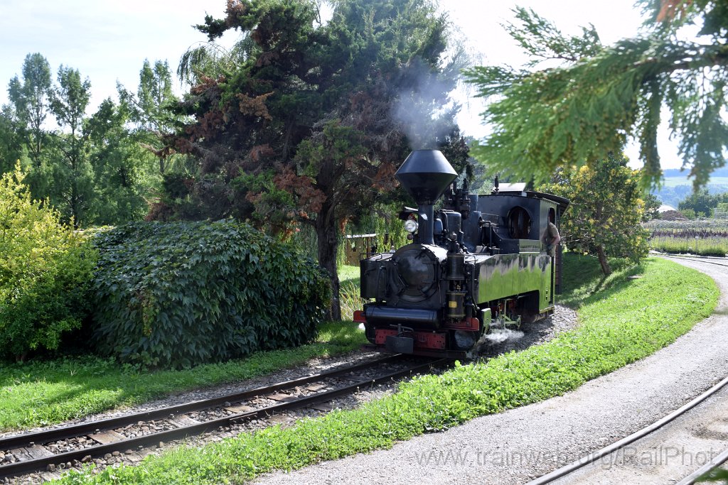 10006-0033-070925.jpg - SchBB G 4/4 7349 "Taxus" / Schinznach (Baumschulsee) 7.9.2025