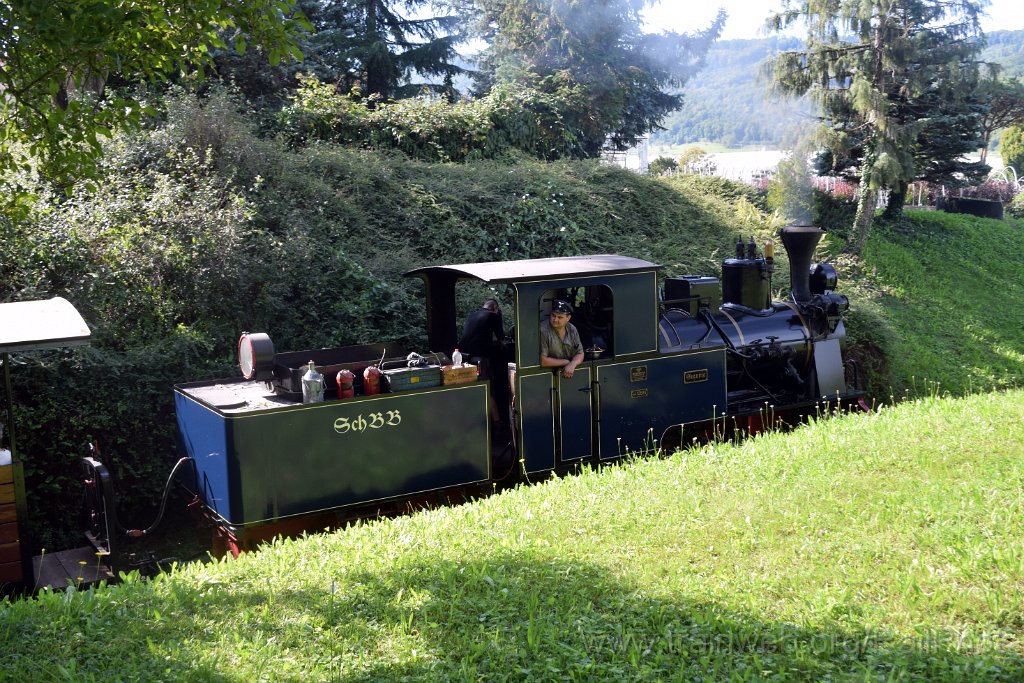 10009-0009-070925.jpg - SchBB G 3/3 13585 "Sequoia" / Schinznach (Brücke Baumschulsee) 7.9.2025