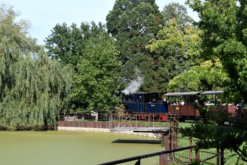 10010-0012-070925.jpg - SchBB G 3/3 13585 "Sequoia" / Schinznach (Baumschulsee) 7.9.2025