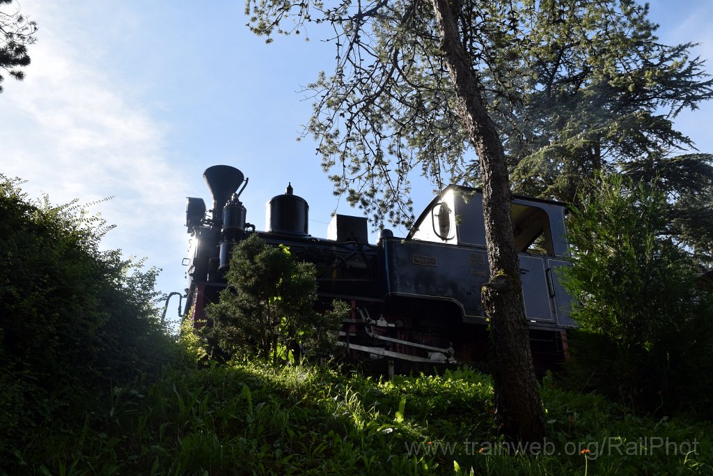 10011-0031-070925.jpg - SchBB G 3/3 13585 "Sequoia" / Schinznach (Brücke Baumschulsee) 7.9.2025