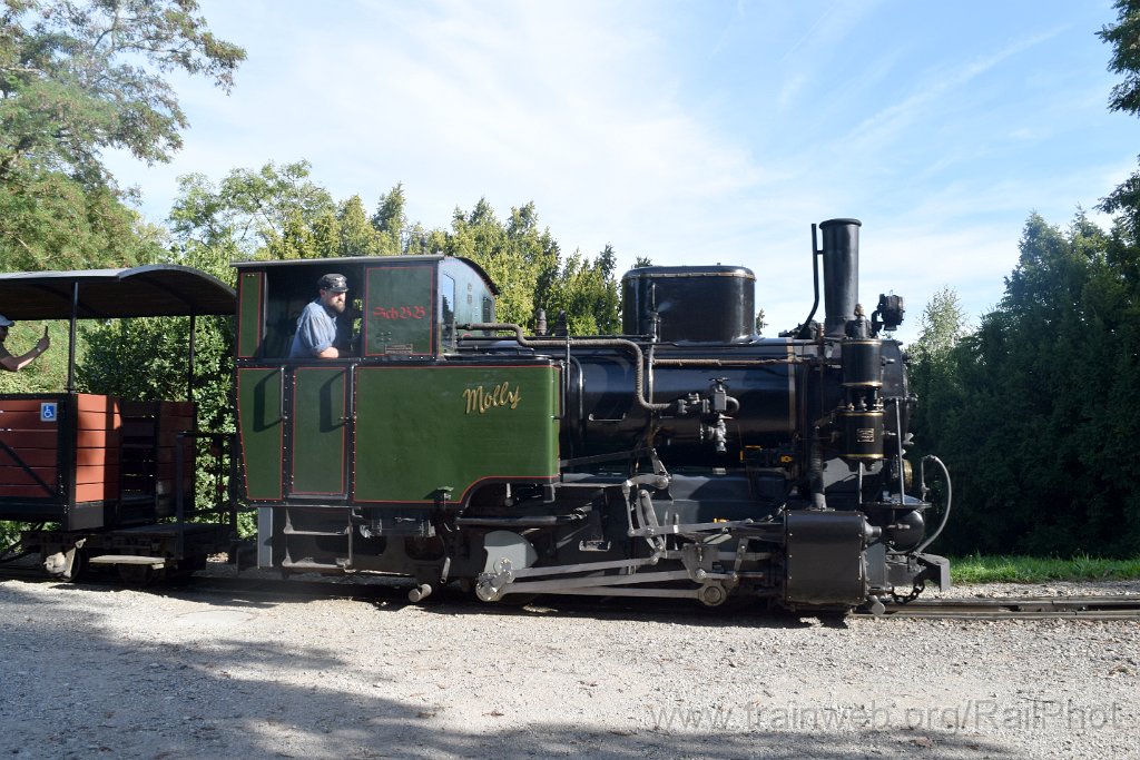 10012-0045-070925.jpg - SchBB G 2/2 3834 "Molly" / Schinznach (Reggia da Robert) 7.9.2025