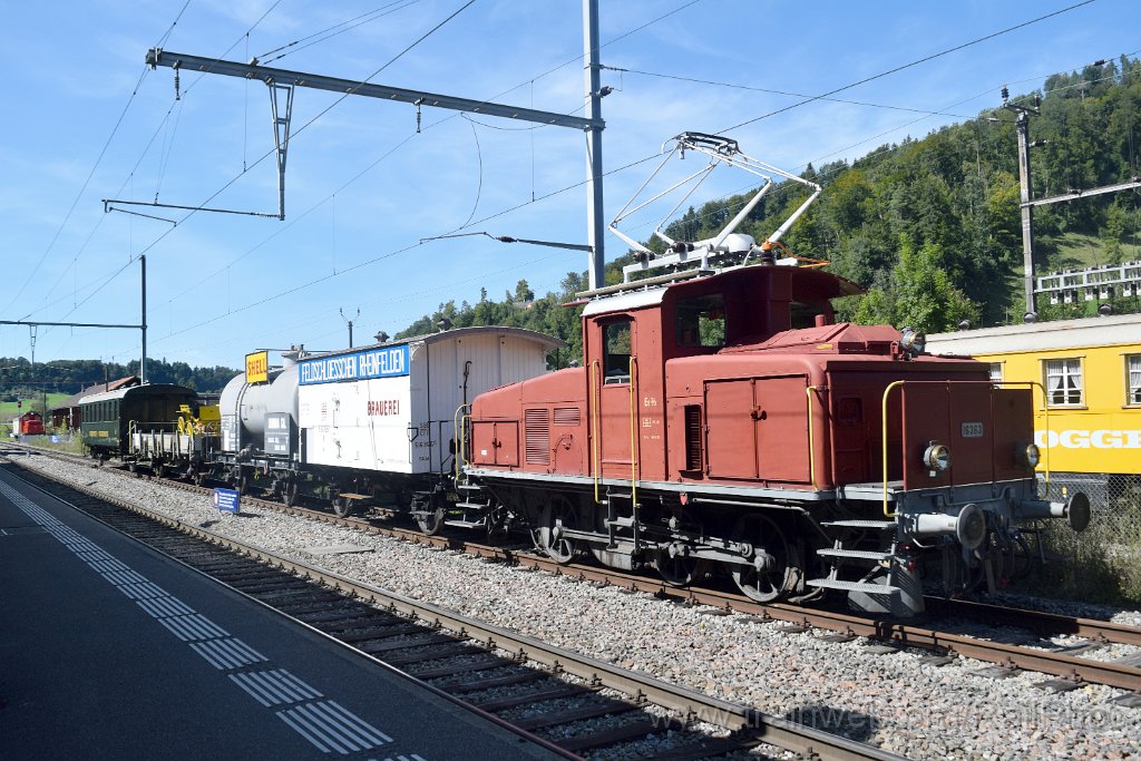9996-0026-060925.jpg - DVZO Ee 3/3 16363 + P 516355 "Feldschlösschen Rheinfelden" + Pa.530156 "Shell" + X 476 + C².422 / Bauma 6.9.2025