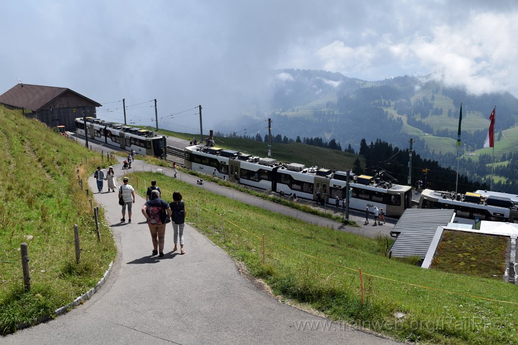 9286-0031-160824.jpg - RB Bhe 4/6 46 "Rosa Dahinden-Pfly" + Bhe 4/6 44 "Mark Twain" / Rigi-Kulm 16.8.2024