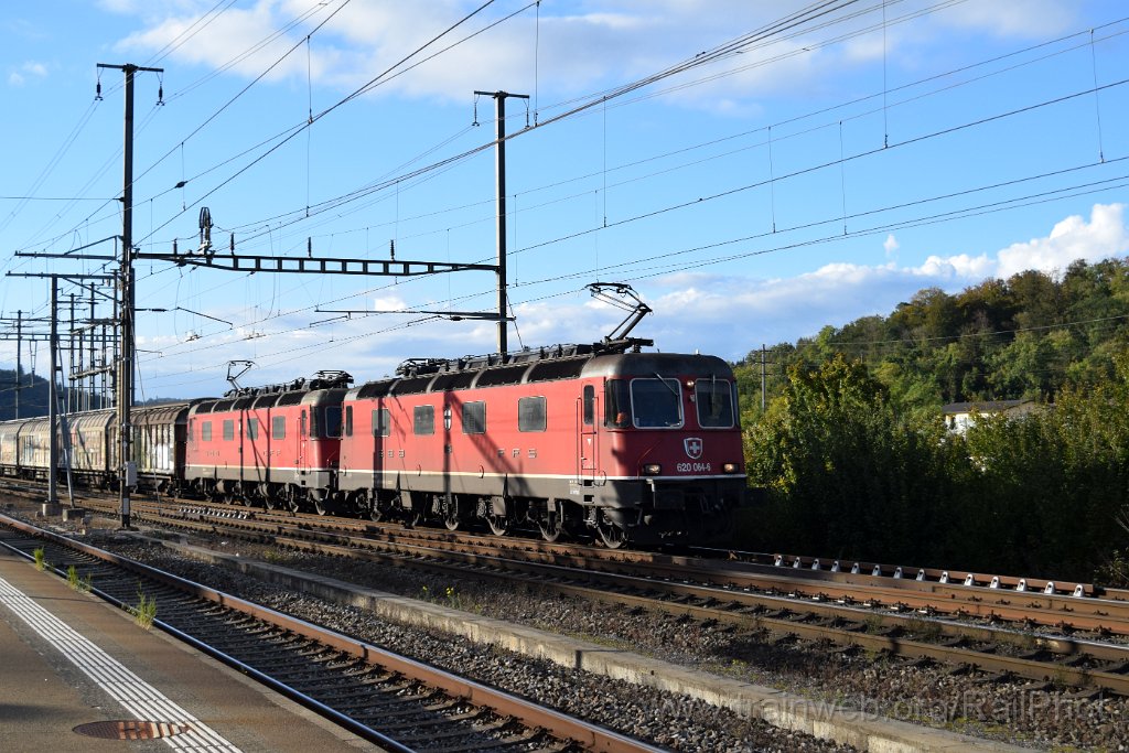 9422-0010-141024.jpg - SBB-CFF Re 6/6 11664 "Köniz" + Re 6/6 11684 "Uznach" / Killwangen-Spreitenbach 14.10.2024