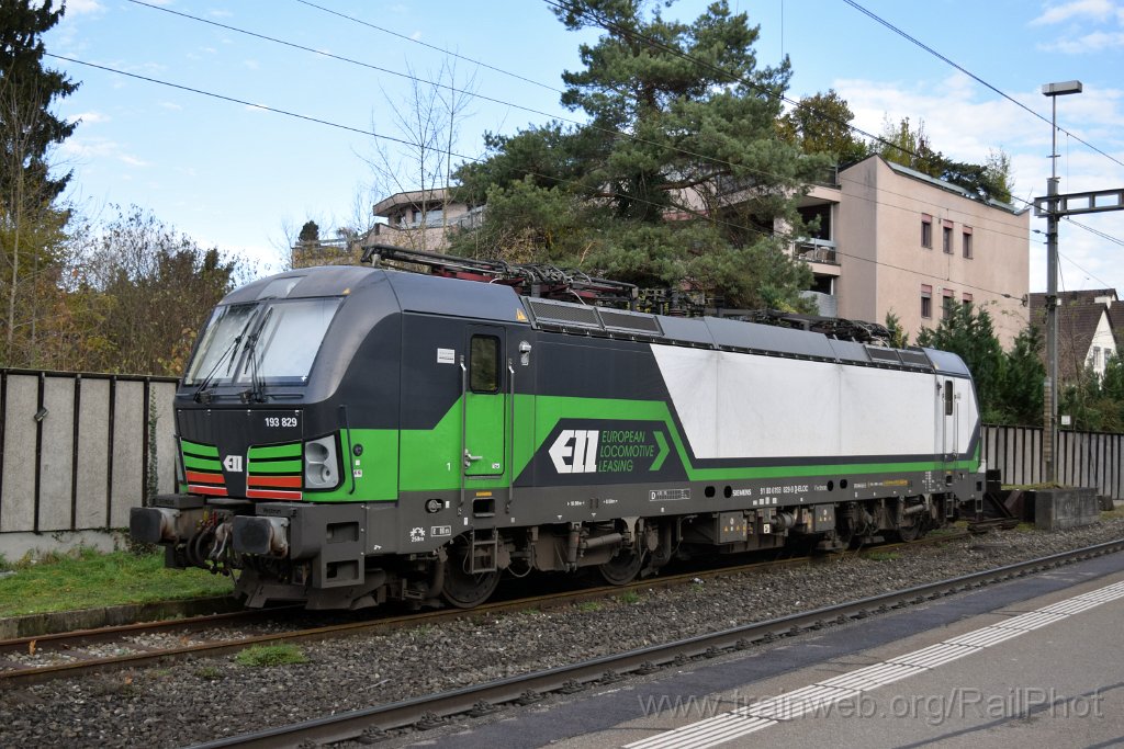 9482-0023-251124.jpg - ELL 193.829-9 / Rheinfelden 25.11.2024