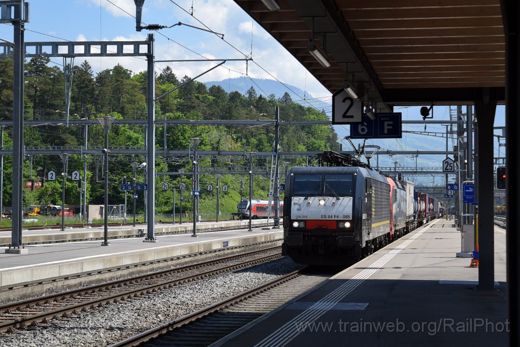 9720-0016-100525.jpg - Beacon ES 64 F4-085 + SBB-CFF 193.466-0 "Bellinzona" / Arth-Goldau 10.5.2025